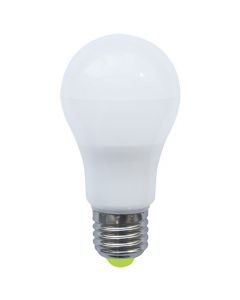 Ampoule classique LED 330° 7W E27 4000K (blanc froid) 580Lm Dépolie